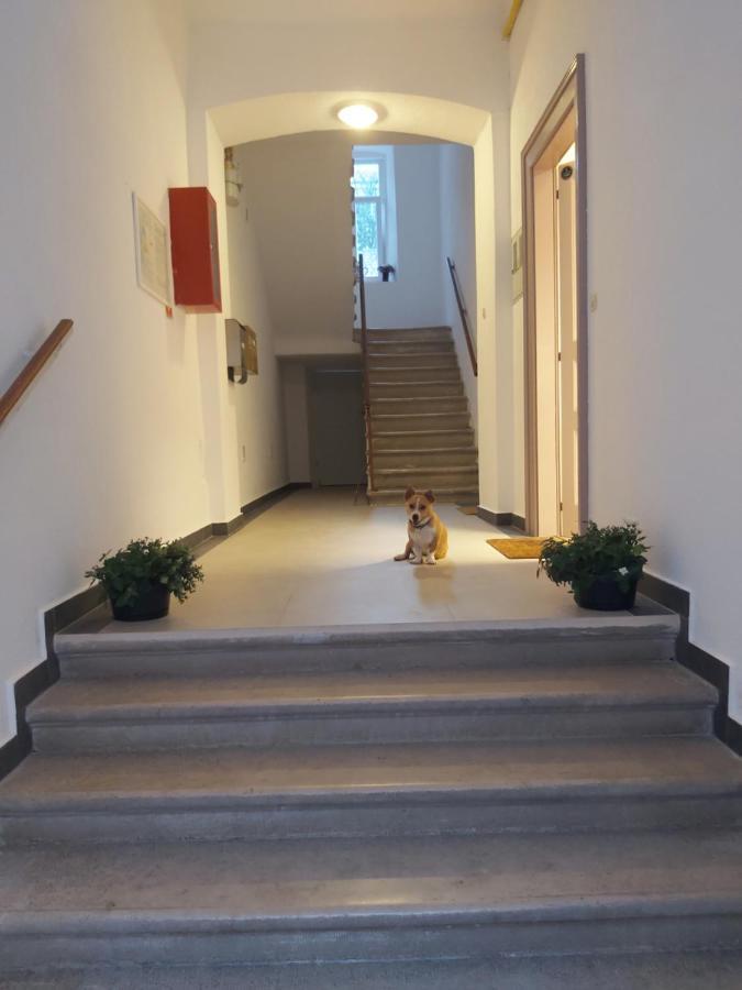 Apartman Draguc Pula Extérieur photo